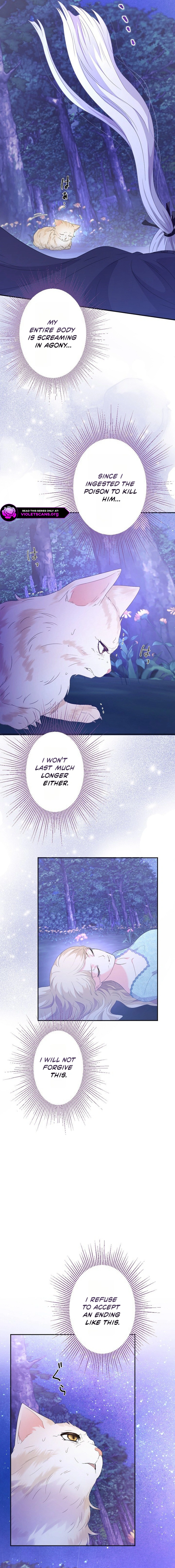 Kitai no Akujo wa Neko to Nari Ai o Shiru Chapter 2 page 22