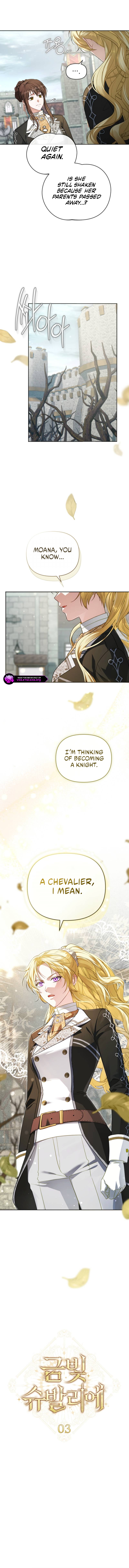 Golden Chevalier Chapter 3 page 3
