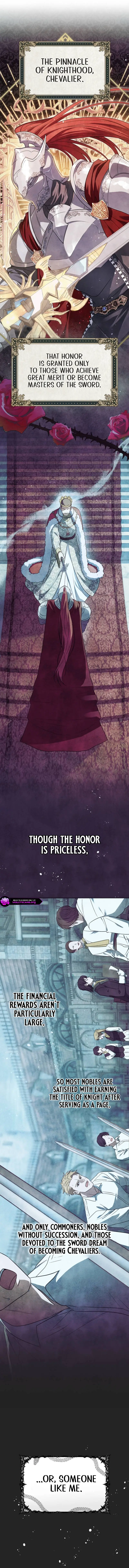 Golden Chevalier Chapter 3 page 4