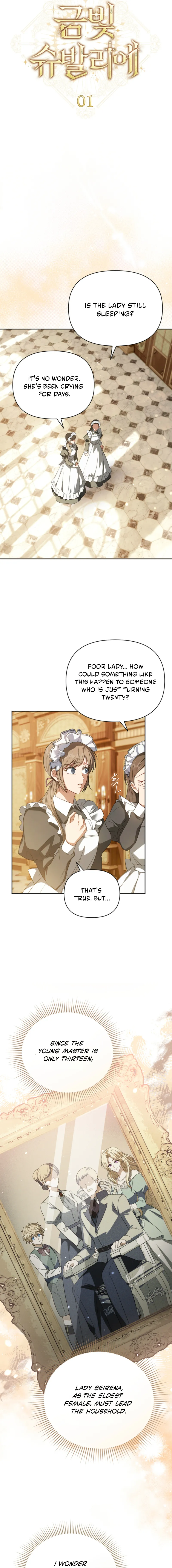 Golden Chevalier Chapter 1 page 17