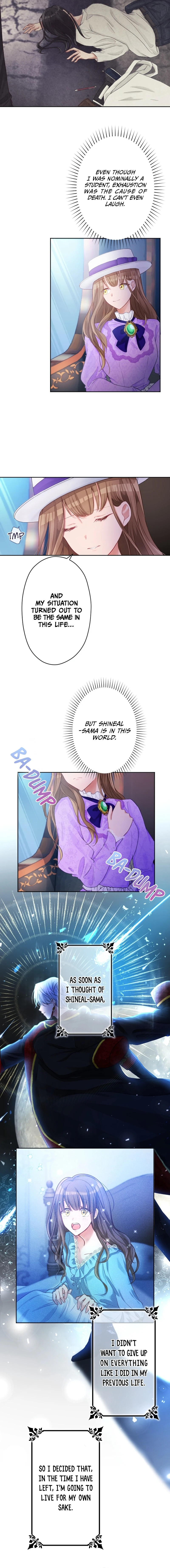 Oshi no Shuuchakushin wo Namete Ita Chapter 3 page 8