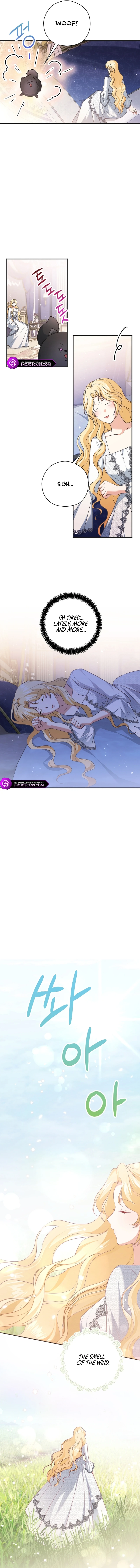 There Is No Need for the Tyrant Second Male Lead's Obsession Chapter 16 page 12