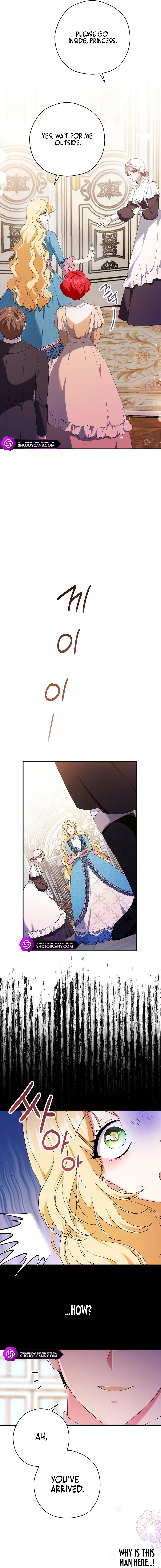 There Is No Need for the Tyrant Second Male Lead's Obsession Chapter 2 page 8