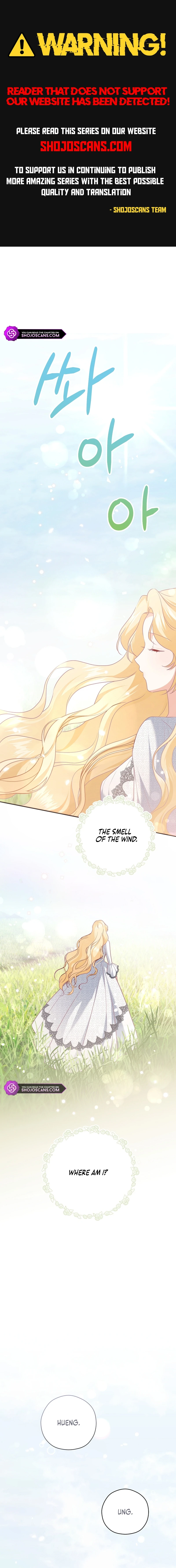 There Is No Need for the Tyrant Second Male Lead's Obsession Chapter 17 page 1