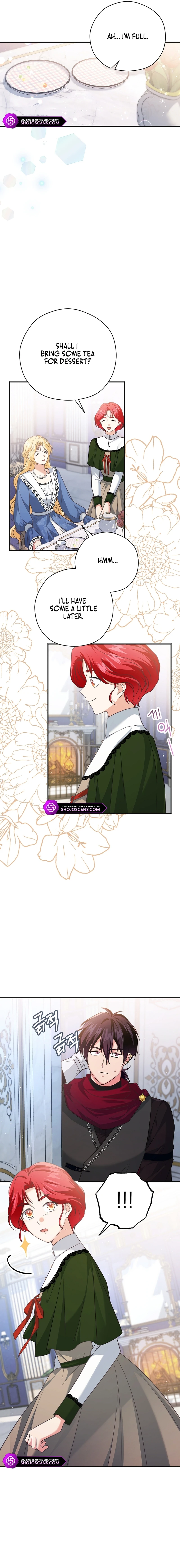 There Is No Need for the Tyrant Second Male Lead's Obsession Chapter 17 page 4