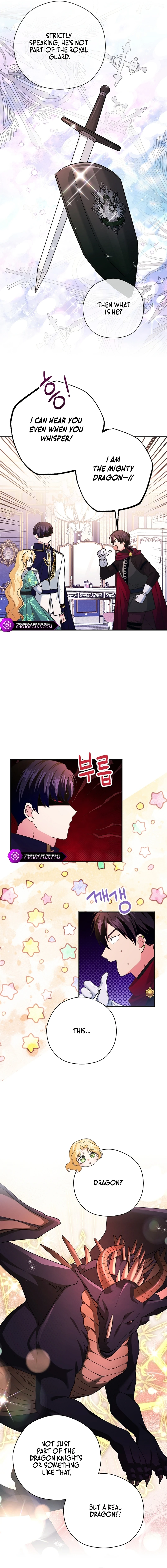 There Is No Need for the Tyrant Second Male Lead's Obsession Chapter 15 page 9