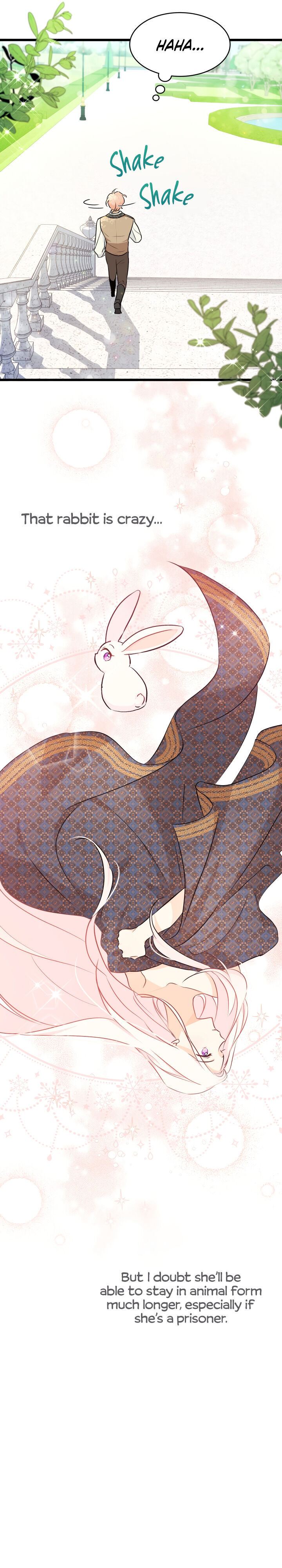 Little Rabbit and the Big Bad Leopard Chapter 21 page 28