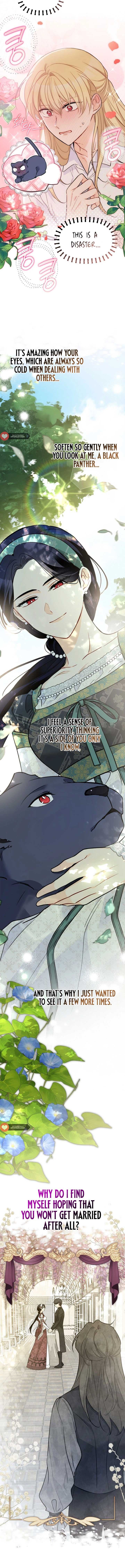 Little Rabbit and the Big Bad Leopard Chapter 153 page 12