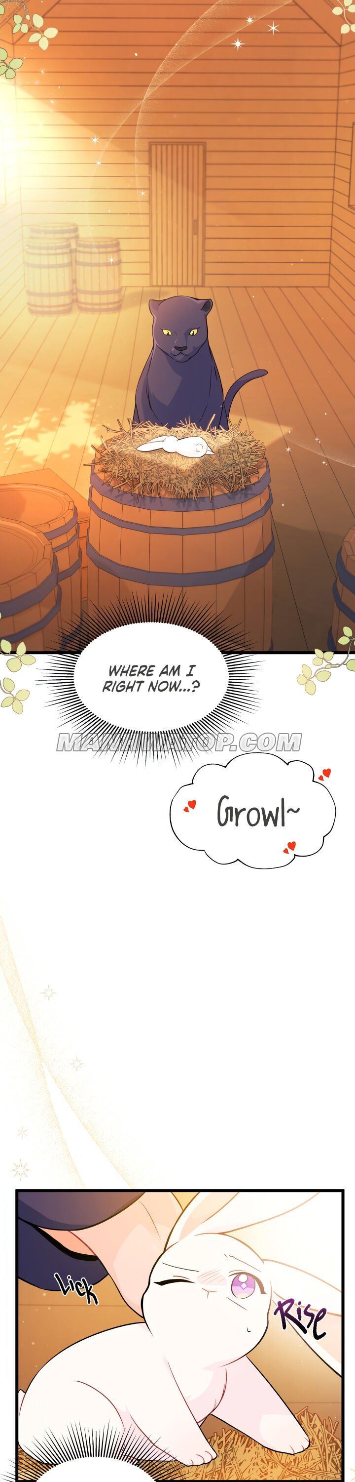 Little Rabbit and the Big Bad Leopard Chapter 28 page 5