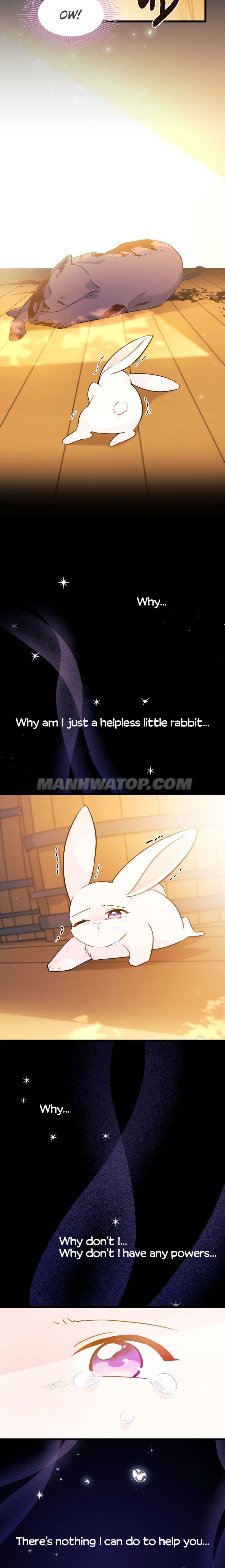 Little Rabbit and the Big Bad Leopard Chapter 28 page 24