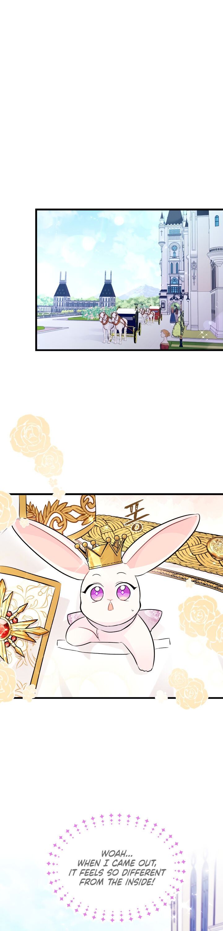Little Rabbit and the Big Bad Leopard Chapter 17 page 17