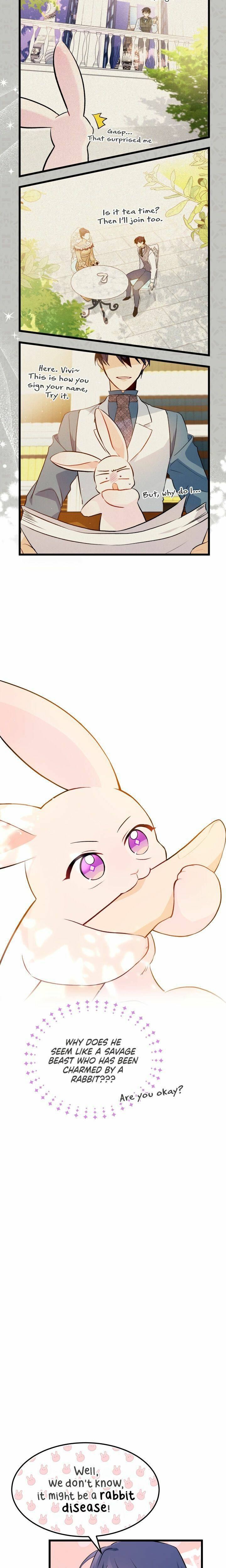 Little Rabbit and the Big Bad Leopard Chapter 26 page 30