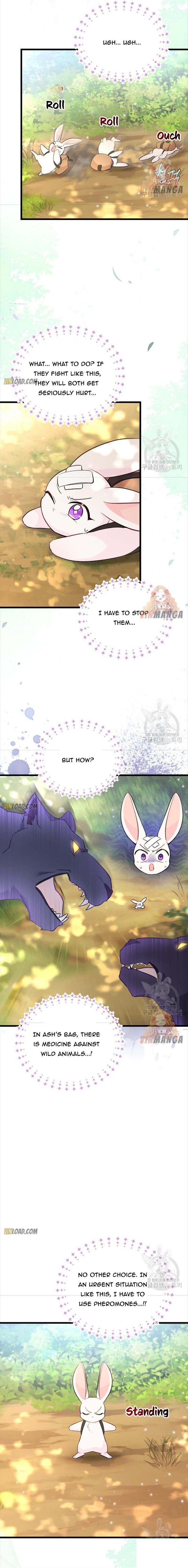 Little Rabbit and the Big Bad Leopard Chapter 61 page 8