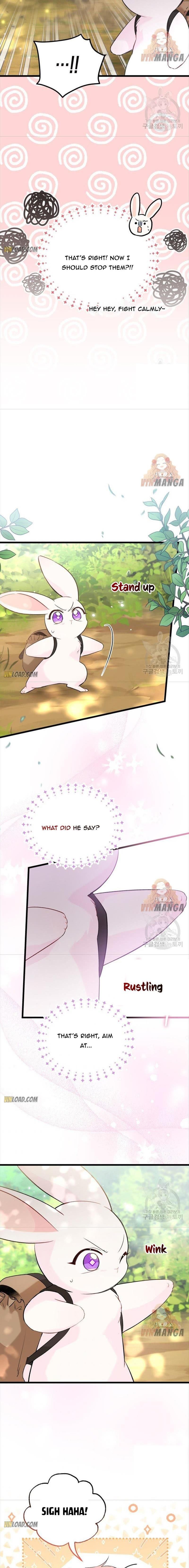 Little Rabbit and the Big Bad Leopard Chapter 61 page 11