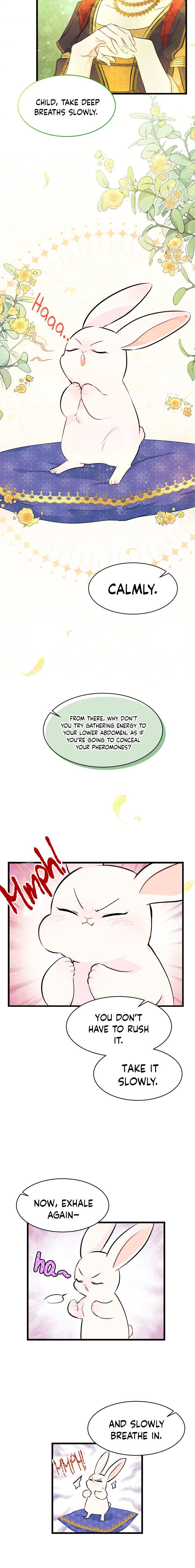 Little Rabbit and the Big Bad Leopard Chapter 8 page 3