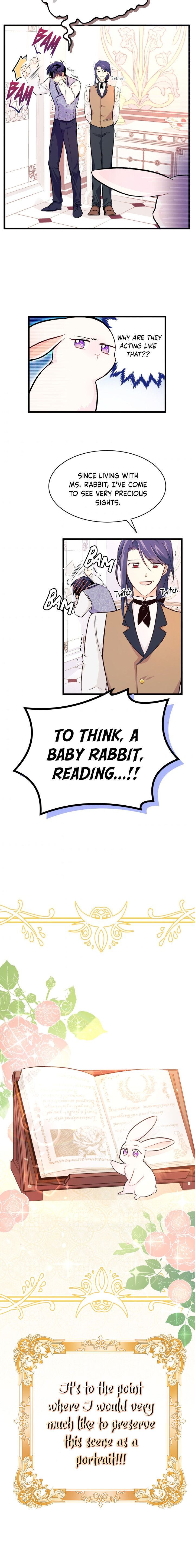 Little Rabbit and the Big Bad Leopard Chapter 8 page 13