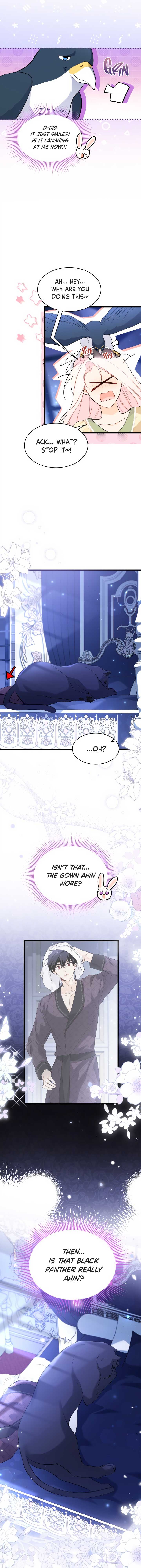 Little Rabbit and the Big Bad Leopard Chapter 54 page 3