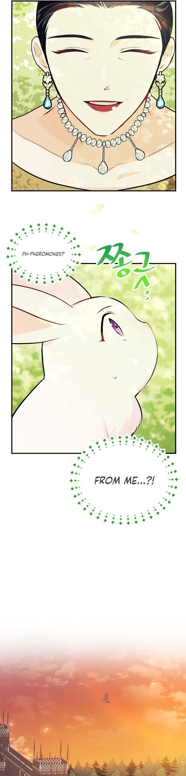 Little Rabbit and the Big Bad Leopard Chapter 5 page 12