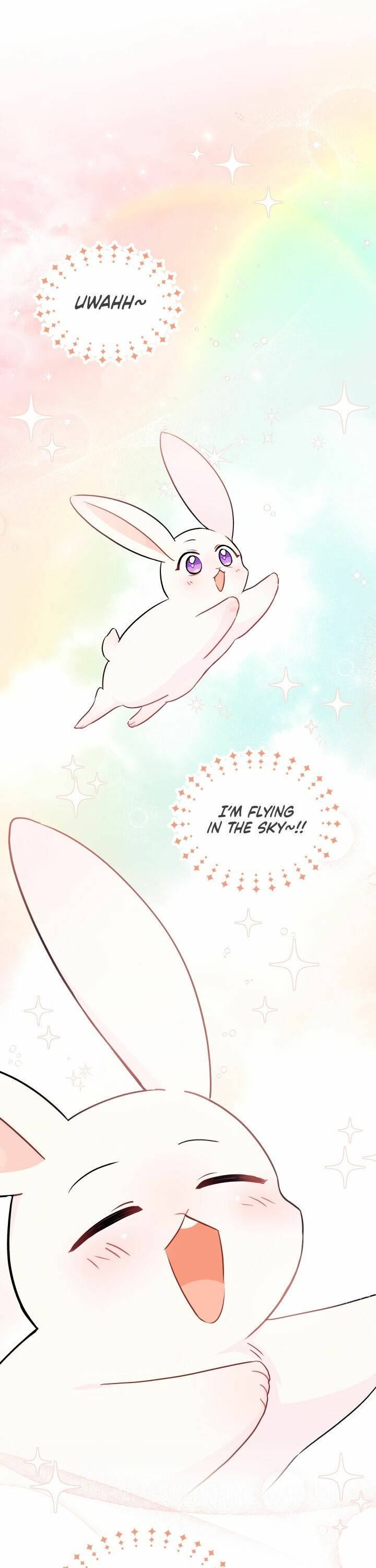 Little Rabbit and the Big Bad Leopard Chapter 25 page 1