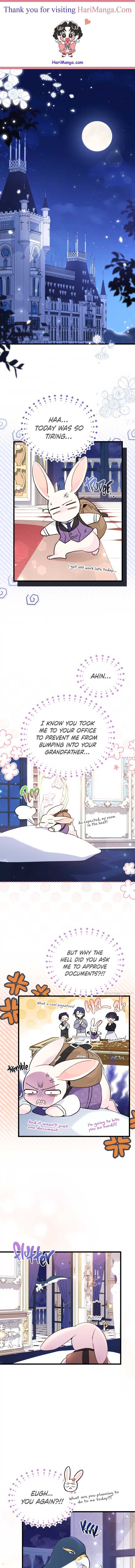 Little Rabbit and the Big Bad Leopard Chapter 57 page 1