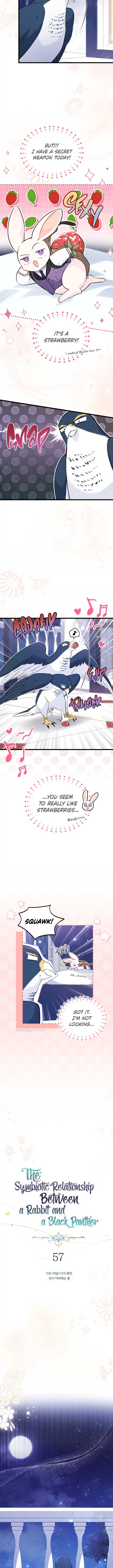 Little Rabbit and the Big Bad Leopard Chapter 57 page 2