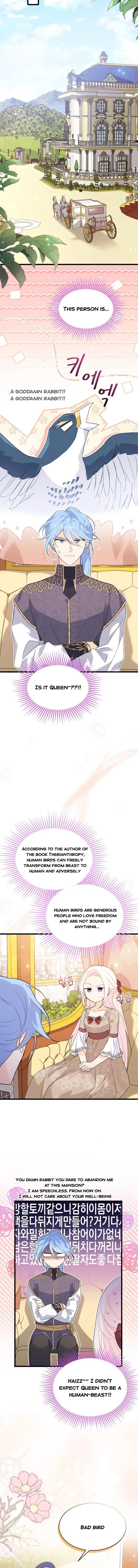 Little Rabbit and the Big Bad Leopard Chapter 78.5 page 5