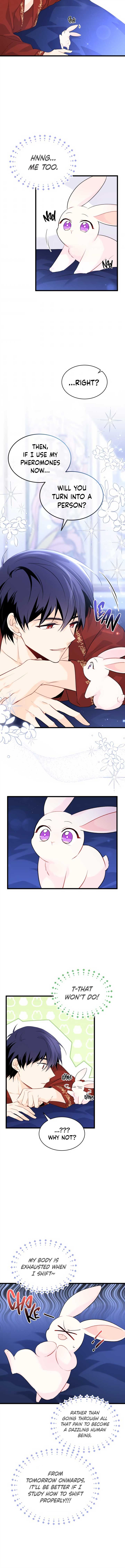 Little Rabbit and the Big Bad Leopard Chapter 46 page 12