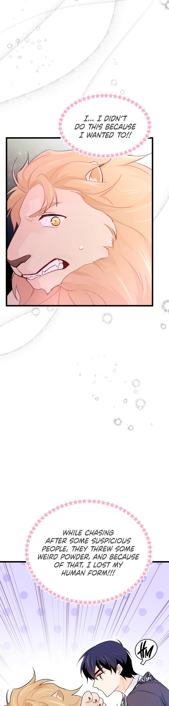 Little Rabbit and the Big Bad Leopard Chapter 34 page 35