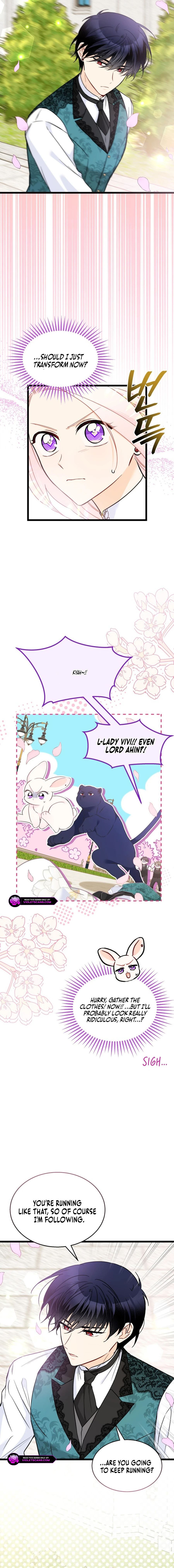 Little Rabbit and the Big Bad Leopard Chapter 179 page 3