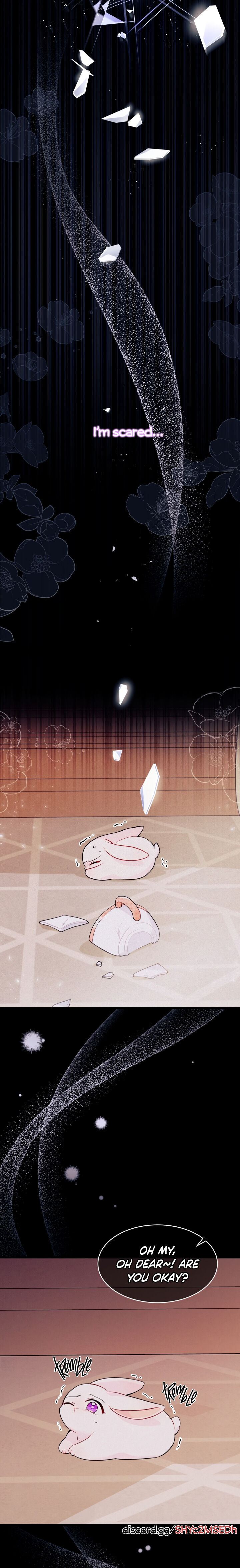 Little Rabbit and the Big Bad Leopard Chapter 39 page 4