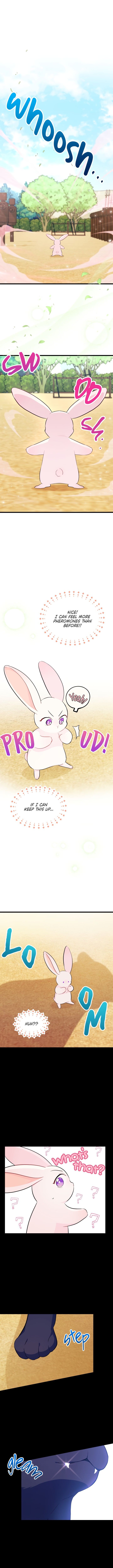 Little Rabbit and the Big Bad Leopard Chapter 23 page 2