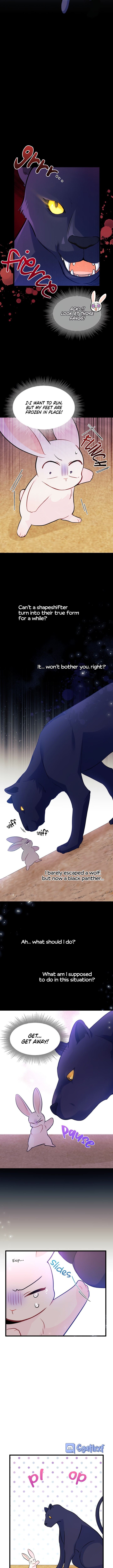 Little Rabbit and the Big Bad Leopard Chapter 23 page 4