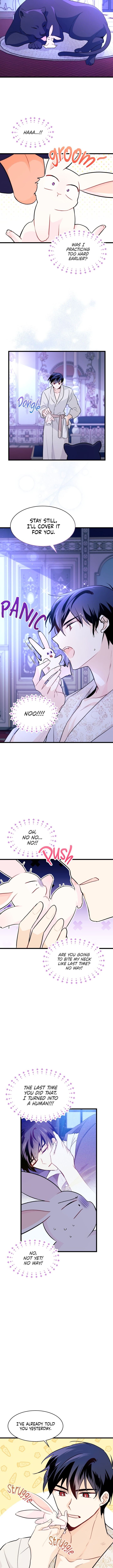 Little Rabbit and the Big Bad Leopard Chapter 23 page 9
