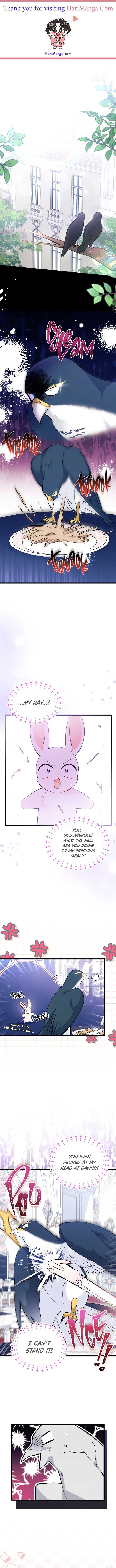 Little Rabbit and the Big Bad Leopard Chapter 55 page 1