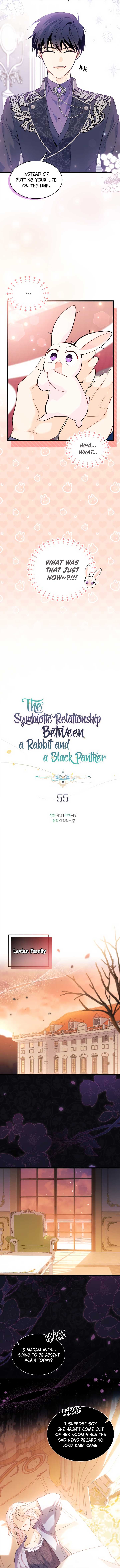 Little Rabbit and the Big Bad Leopard Chapter 55 page 5