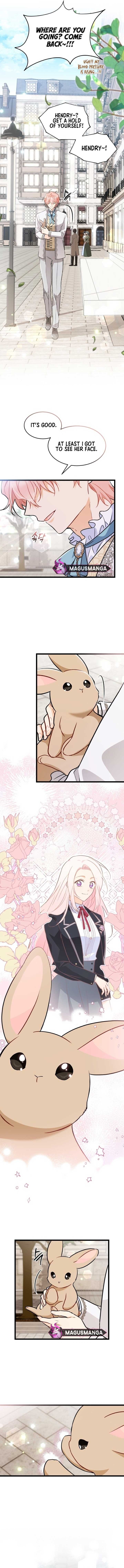 Little Rabbit and the Big Bad Leopard Chapter 145 page 11
