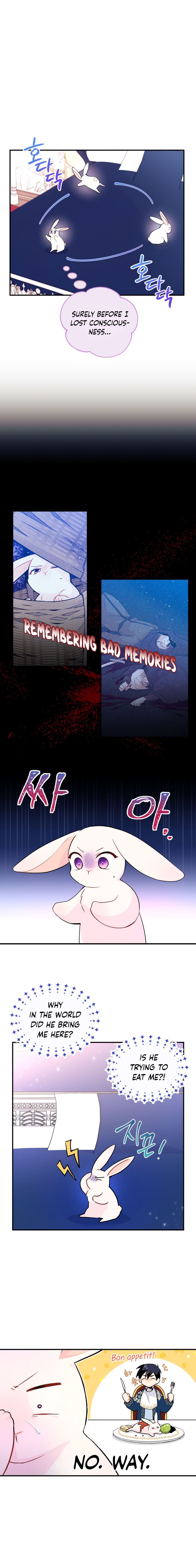 Little Rabbit and the Big Bad Leopard Chapter 2 page 3