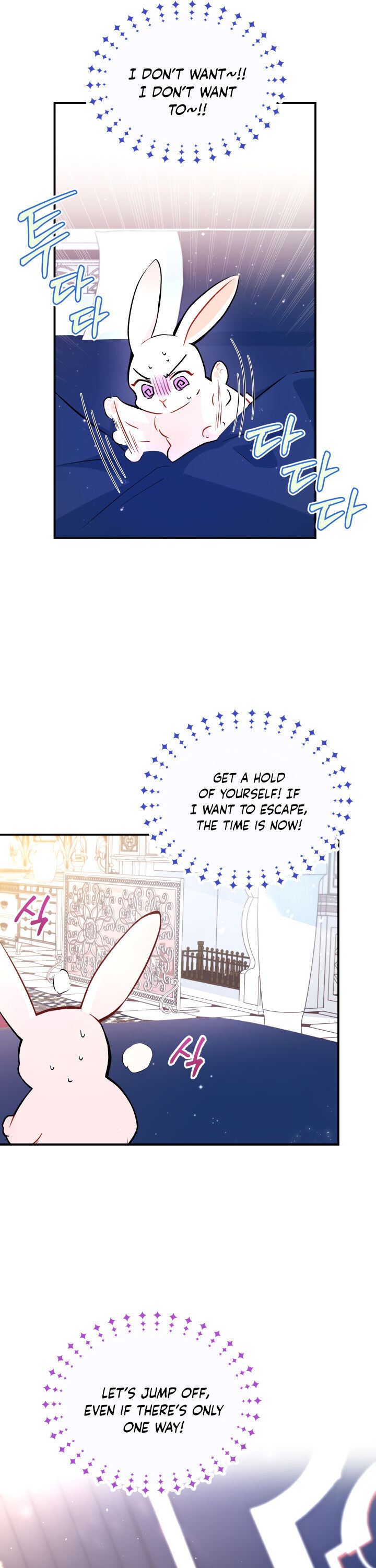 Little Rabbit and the Big Bad Leopard Chapter 2 page 4