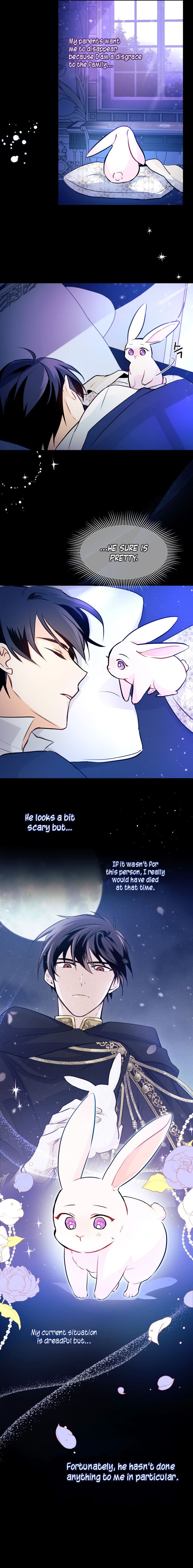 Little Rabbit and the Big Bad Leopard Chapter 2 page 27