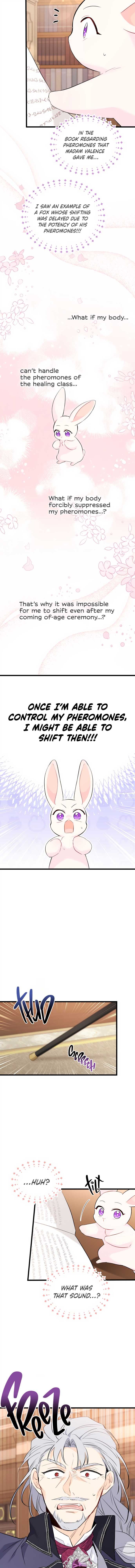 Little Rabbit and the Big Bad Leopard Chapter 47 page 12
