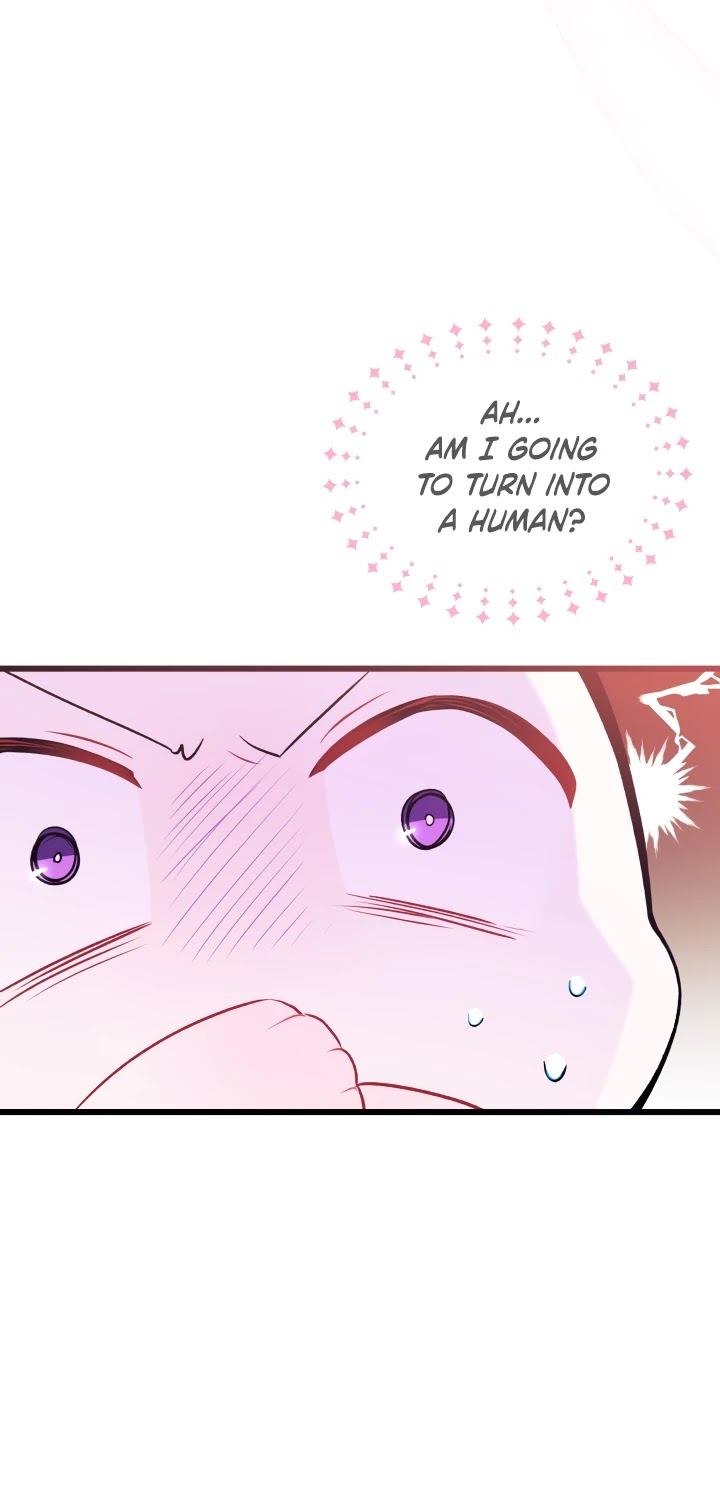 Little Rabbit and the Big Bad Leopard Chapter 35 page 31