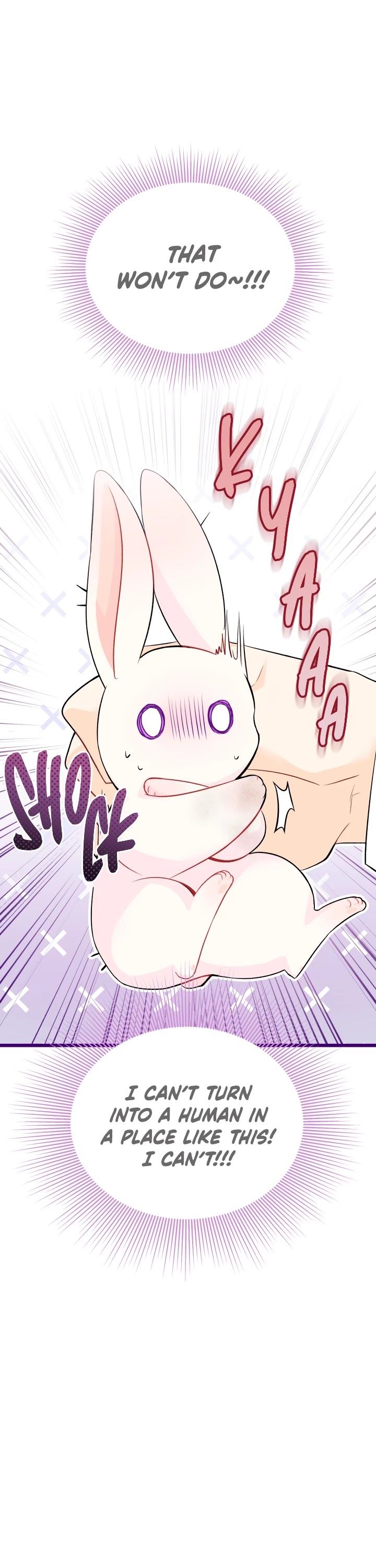 Little Rabbit and the Big Bad Leopard Chapter 35 page 32