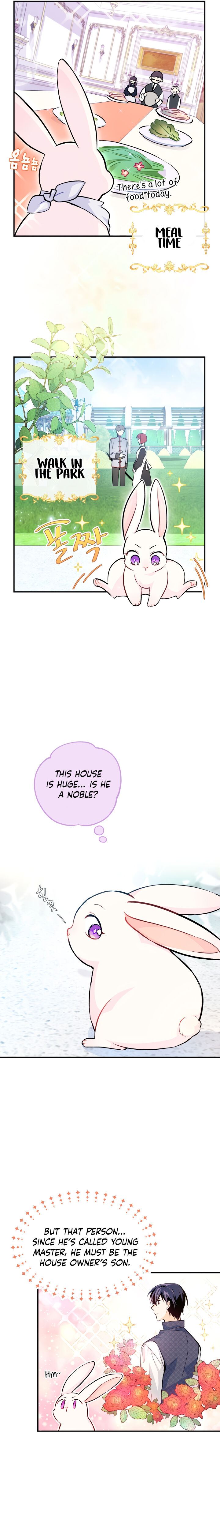 Little Rabbit and the Big Bad Leopard Chapter 3 page 12