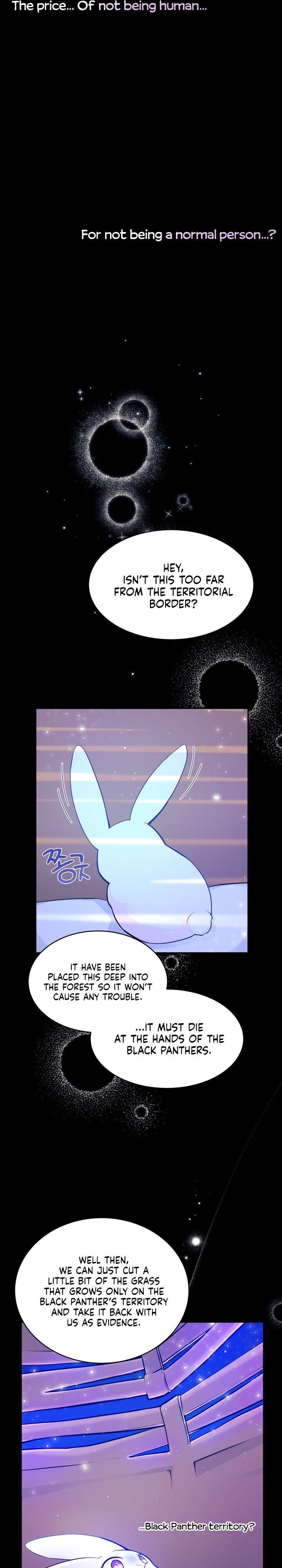 Little Rabbit and the Big Bad Leopard Chapter 1 page 6