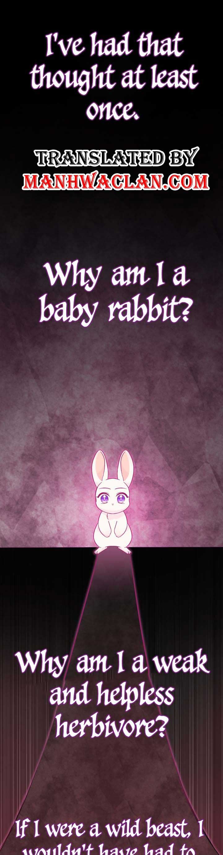 Little Rabbit and the Big Bad Leopard Chapter 120 page 1