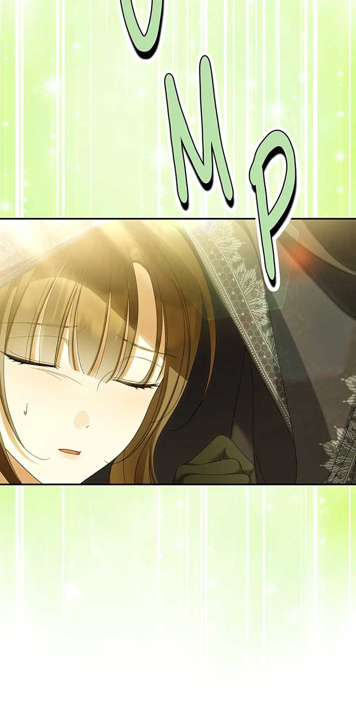 Why Are You Obsessed With Your Fake Wife? Chapter 65 page 13