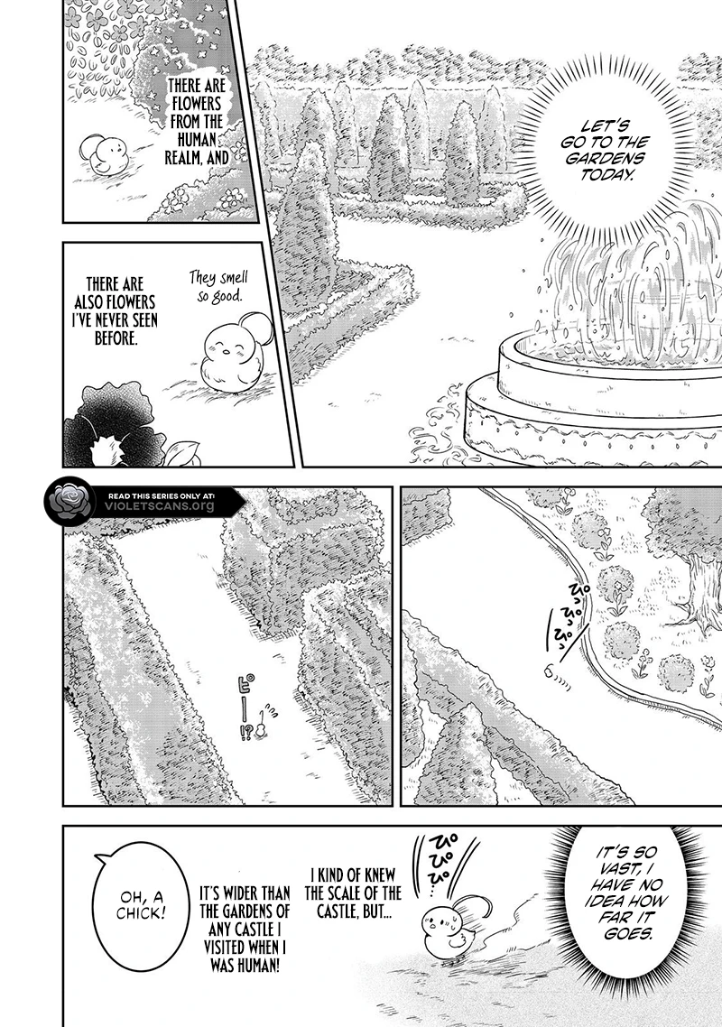 Seijo Dakedo Yami Ochi Shitara Hiyoko ni Narimashita! Chapter 6.1 page 5