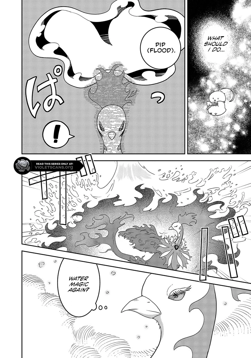 Seijo Dakedo Yami Ochi Shitara Hiyoko ni Narimashita! Chapter 5.1 page 13