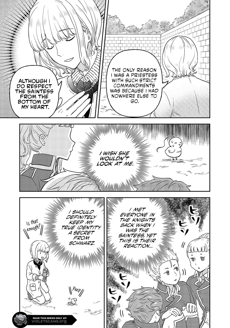 Seijo Dakedo Yami Ochi Shitara Hiyoko ni Narimashita! Chapter 10.1 page 8