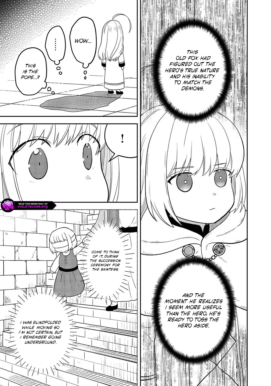 Seijo Dakedo Yami Ochi Shitara Hiyoko ni Narimashita! Chapter 15.2 page 12